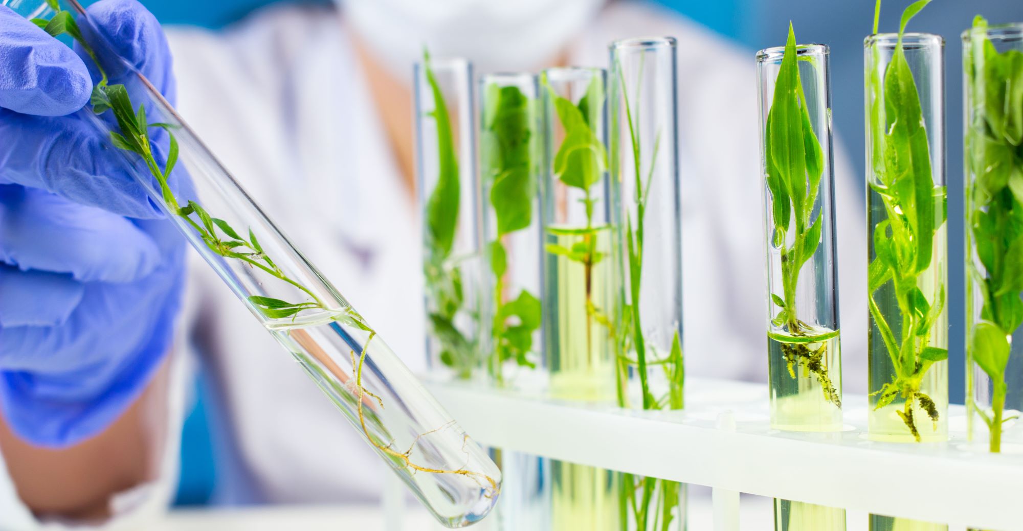 Bio Technology (Plant) wallpaper